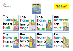 A67-A3 - hamster Home